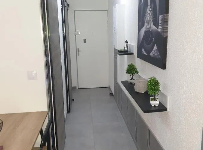 Apartment Beau / Clim / Parking / A 200 M *